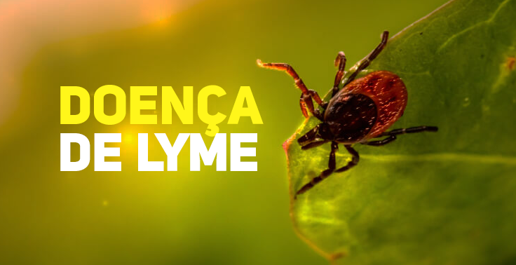 Doença de Lyme DIVE